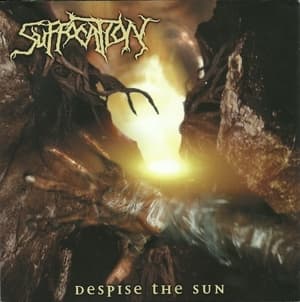 Despise The Sun