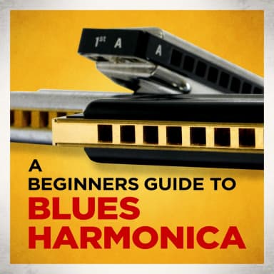 Beginners Guide To African Blues (3CD)