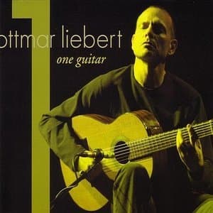 One Guitar (24 bit)