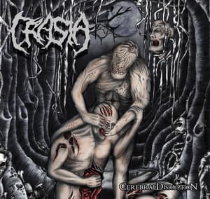 Cerebral Disruption