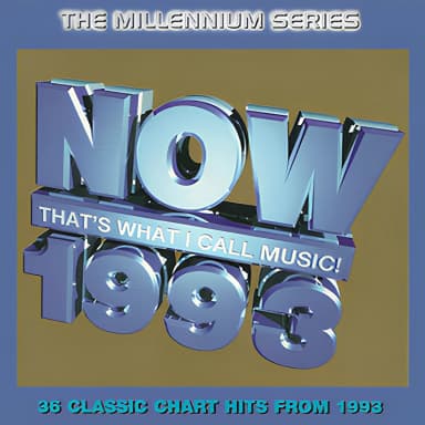 Now That's What I Call Music! 1993: The Millennium Series