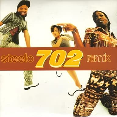 Steelo (remix)