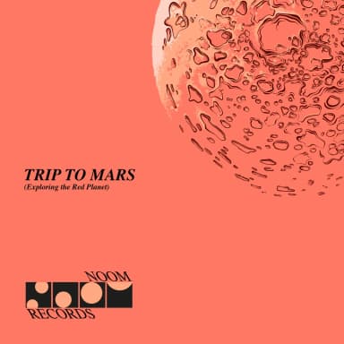 A Trip In Trance