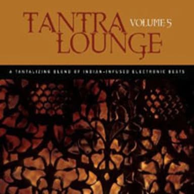 Tantra Lounge, Volume 5