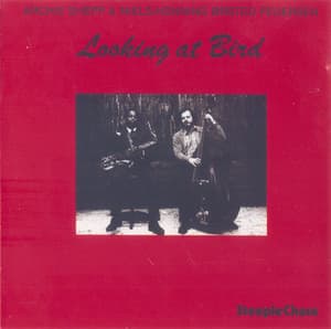 Looking At Bird