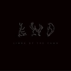 Limbs Of The Fawn