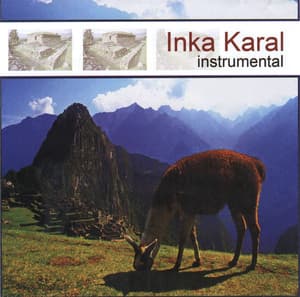 Instrumental