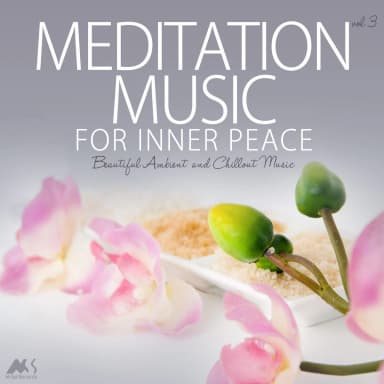 Inner Space Chill Out Vol. 2   (CD2)