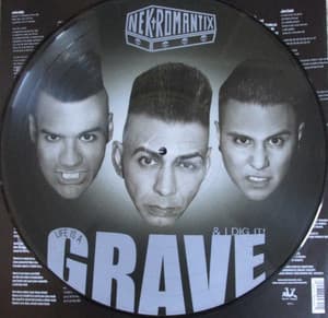 Life Is A Grave & I Dig It! 