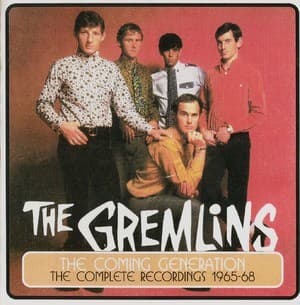 The Coming Generation-the Complete Recordings 1965-68