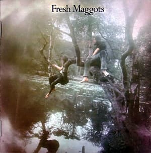 Fresh Maggots ...hatched