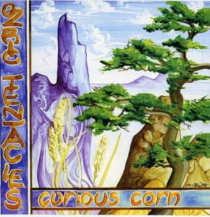 Curious Corn