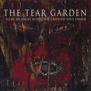 To Be An Angel Blind, The Crippled Soul Divide