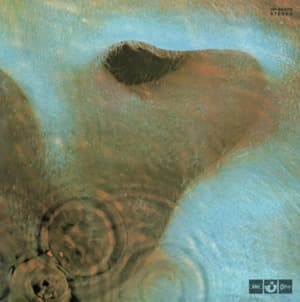 Meddle (OP-80375)