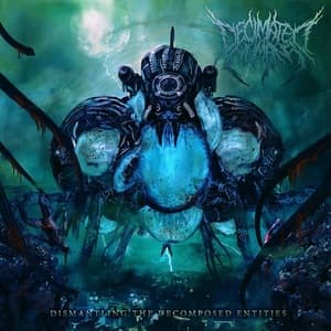 Dismantling The Decomposed Entities