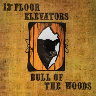 Bull Of The Woods