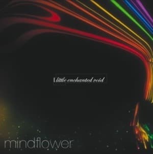 Little Enchanted Void