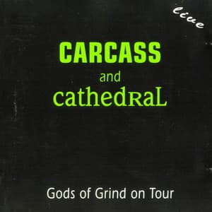 Gods Of Grind On Tour