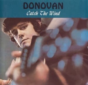 Catch The Wind