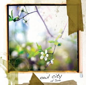 Owl City