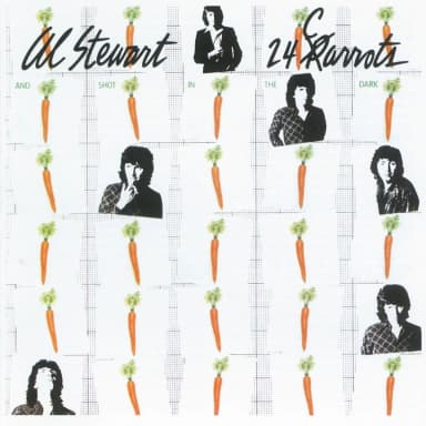 24 Carrots (2007)