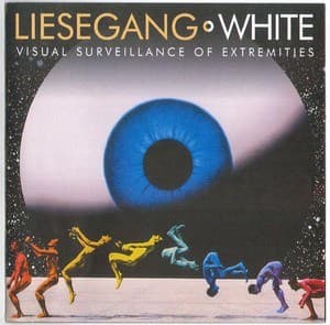 Visual Surveillance Of Extremeties