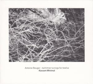 Tschirtner Tunings For Twelve [The Berlin Series No.5] 
