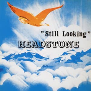 Still Looking