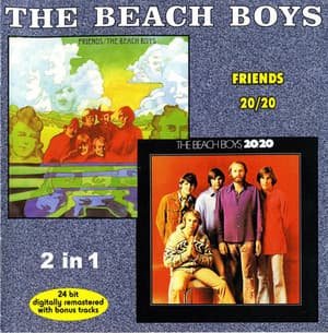 Friends - 20-20