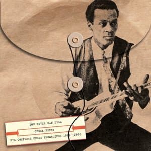 You Never Can Tell: His Complete Chess Recordings 1960 - 1966 (4CD)