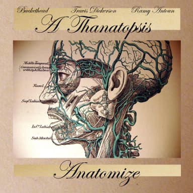 Anatomize