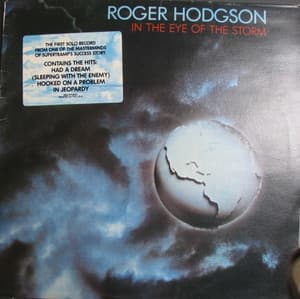 In The Eye Of The Storm (Vinyl)