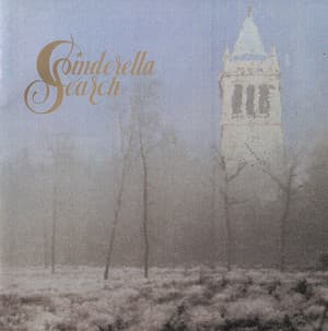 Cinderella Search