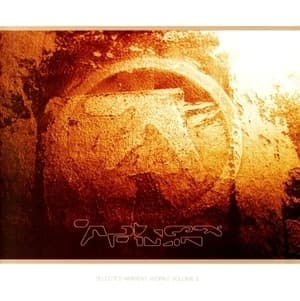 Selected Ambient Works Volume II 