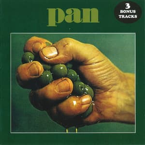 Pan