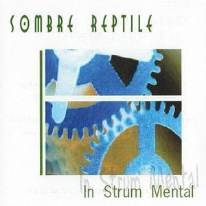 In Strum Mental