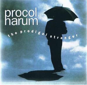 Prodigigal Stranger