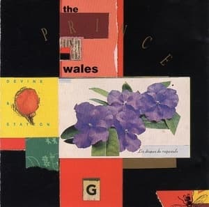 The Prince Of Wales