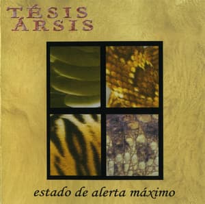 Estado De Alerta Maximo