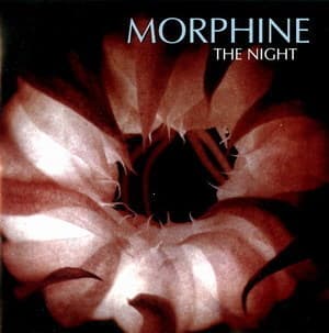 The Night