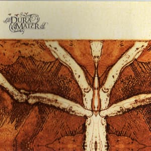 Dura Mater