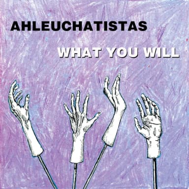 What You Will