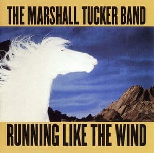 Running Like The Wind