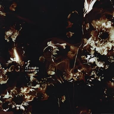 13 Tracks (alcove  #1 CD3) 