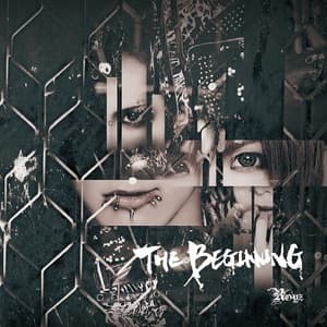The Beginning (type D) (CDM)