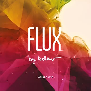 Flux By Belew, Volume One