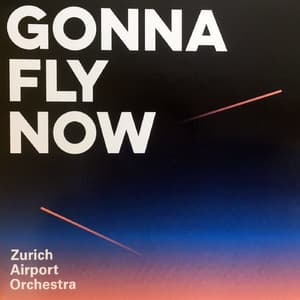 Gonna Fly Now 