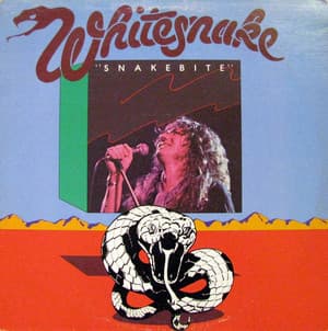 Snakebite