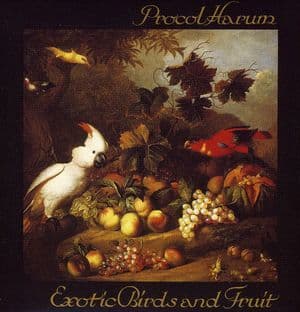 Exotic Birds & Fruit
