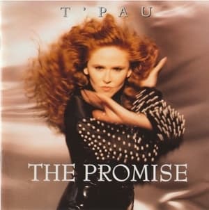 The Promise